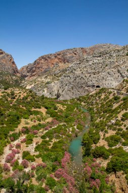 Caminito del Rey, Malaga, İspanya 'dan El Chorro' ya bahar manzarası
