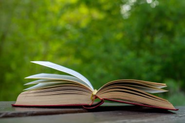 Açık bir masa üzerinde açık bir kitap, yeşil doğa arka plan kopyalama alanı 