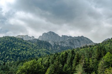 Selva de Oza, Valle de Hecho, Occidental Valley Natural Park, Aragonese Pyrenees, Huesca Eyaleti, İspanya