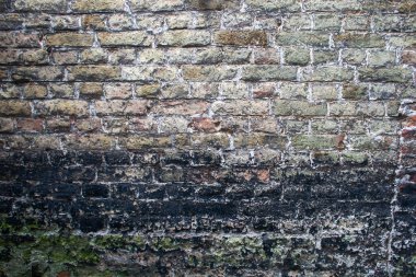 Old brick wall with mouldy damp stain, grunge background 