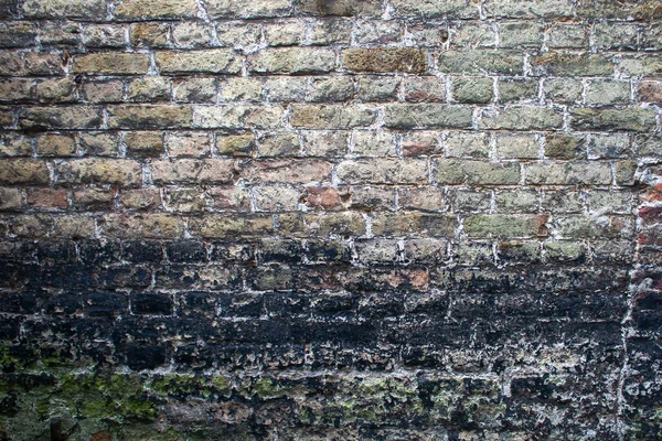 Old brick wall with mouldy damp stain, grunge background