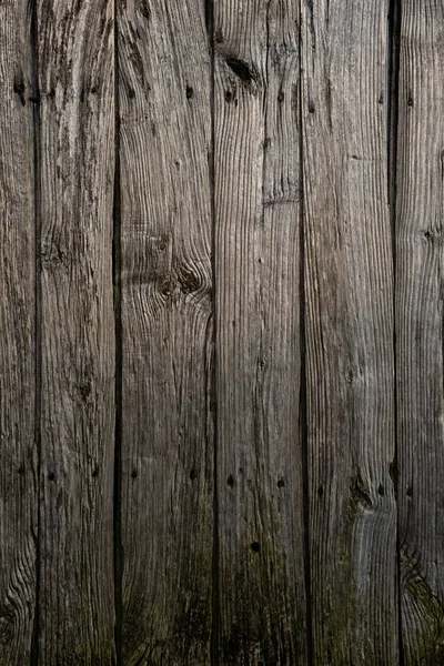 Old Rustic Wooden Door Gate — Stock Photo, Image