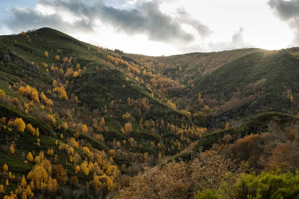 Autumn Landscape Caurel Mountains Galicia Spain — Photo