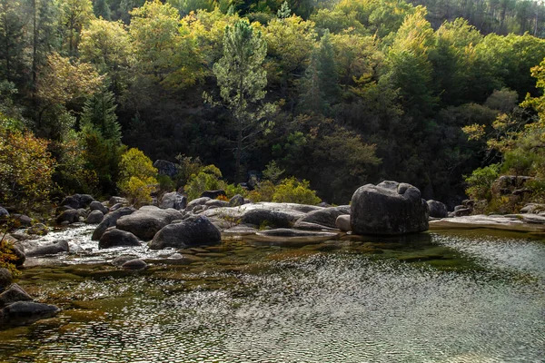 Autumnal Landscape Homem River Mata Albergaria Forest Peneda Geres National — Stockfoto