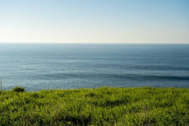 Green meadow by the blue sea 