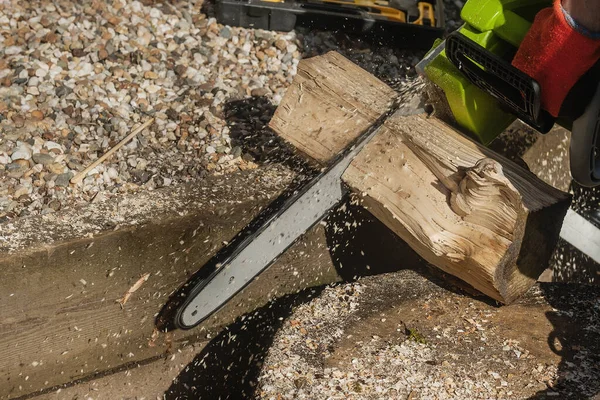 Professional Lumberjack Cutting Coppicing Logs Chainsaw Protective Gloves — Stock Photo, Image