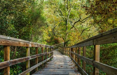 Mao Nehri Kanyonu 'ndaki tahta geçit, Ribeira Sacra, Galiçya, İspanya