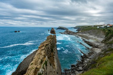 Eroded limestone sea stacks and abrasion platform in La Arnia, Costa Quebrada, Cantabria, Spain