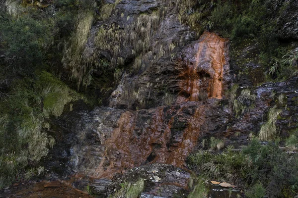 Fontes Cervo Natural Springs Ferrous Hard Water Devesa Rogueira Serra — Fotografie, imagine de stoc