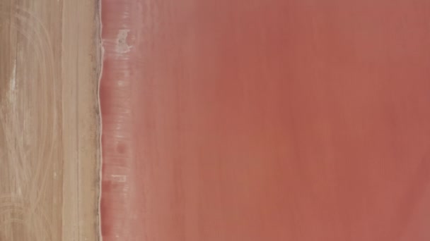 A légi madarak fentről lefelé nézik a rózsaszín tavakat. Pekuliáris színek miatt mikroorganizmusok élnek tengeri só párolgási tavak. Las Coloradas, Yucatan, Mexikó — Stock videók