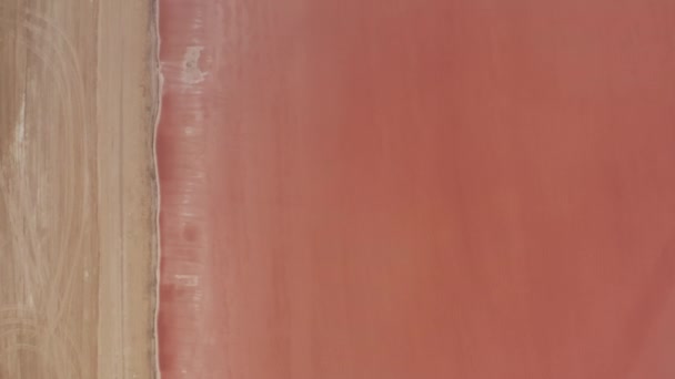 Aerial birds eye overhead top down descending view of pink lakes. Peculiar colours due to micro organisms living in sea salt evaporation ponds. Las Coloradas, Yucatan, Mexico — Stock Video