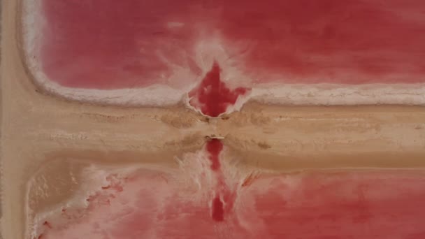 Pájaros aéreos ojo arriba hacia abajo vista ascendente del camino de tierra entre lagos rosados. Diversos matices de color según la profundidad del agua. Las Coloradas, Yucatán, México — Vídeo de stock