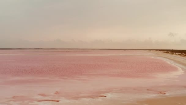 Tuz çıkarmak için su birikintilerinin üzerinden ileriye doğru uçar. Göllerde yaşayan mikro organizmalar yüzünden suyun nadir görülen pembe rengi. Las Coloradas, Yucatan, Meksika — Stok video