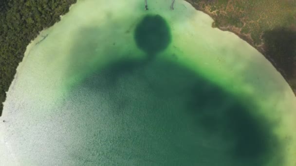 Повітряні птахи вдивляються над головою і вдивляються у мальовниче зелене озеро, яке використовують як природний басейн. Лагуна Каан - Лум, Тулум, Юкатан, Мексика — стокове відео