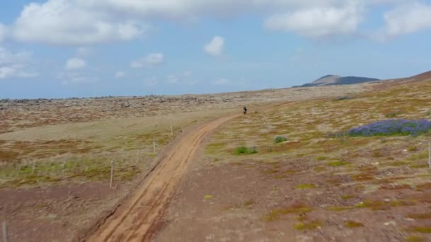 Drone visa fåglar öga av ryttare kör motorcykel bland en grön klippa på Island. Flygfoto efter man motocross över Grönland — Stockvideo