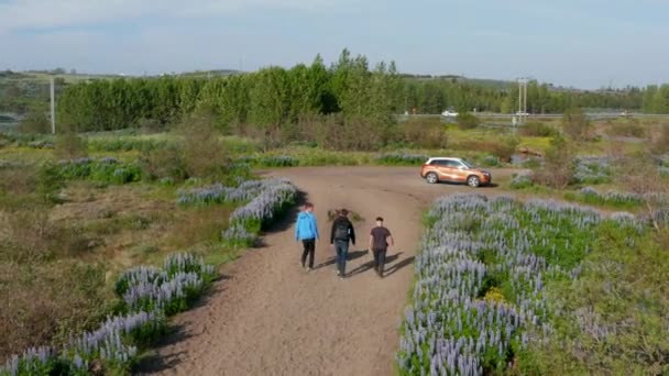 Aus der Vogelperspektive sind drei junge Männer zu sehen, die miteinander reden. Drohnen-Ansicht Gruppe von Freunden hinter Ansicht Gespräch zu Fuß Auto. Tourist verlässt Wahrzeichen reif für die Reise — Stockvideo