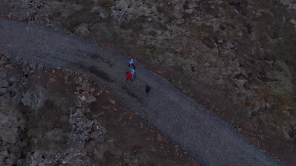 Vista aérea de cuatro personas que caminan por sendero en tierras altas rocosas desoladas en Islandia. Vista de arriba hacia abajo del grupo turístico montañismo pasear sendero trekking al aire libre — Vídeo de stock