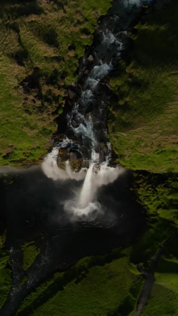 Vue aérienne de la cascade Seljalandsfoss en Islande. Oiseaux du haut vers le bas vue de l'oeil de l'eau tombant de la haute falaise dans les hauts plateaux glaciaires — Video