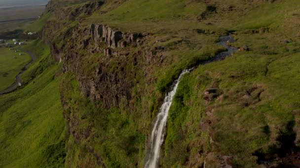 Orbita nad głową drona widok majestatyczny Seljalandsfoss wodospad w Islandii, najbardziej znany cel podróży. Widok z góry na wodę płynącą nad zielonymi meczetowymi klifami. Piękno na ziemi — Wideo stockowe
