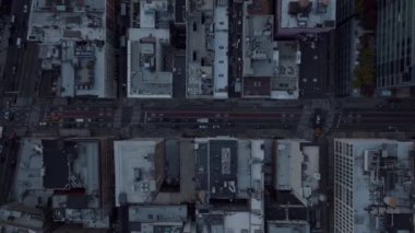 Gökyüzü kuşları tepeden aşağı şehrin caddelerinde araba süren araçların görüntülerini izliyorlar. Manhattan, New York City, ABD