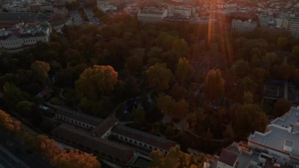 Luftaufnahme von bunten Bäumen im Stadtpark. Aufgehübschtes Stadtbild und untergehende Sonne am Horizont. — Stockvideo