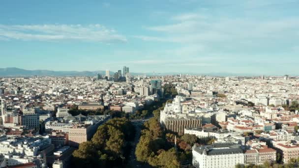 Воздушная панорама большого города. Широкий бульвар с деревьями проходит между развитием города. — стоковое видео