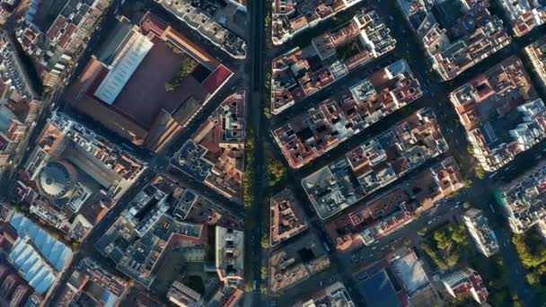 Aerial birds eye overhead top down panning view of town development from height. Blocks of building divided by busy streets. — Stock Video