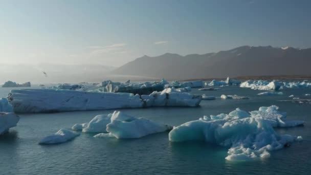 Fåglar syn på isberg flytande, Breidamerkurjokull glaciär tunga på Island. Drone view snötäckta berg och isformationer drivande på Jokulsarlon sjö, Vatnajokull nationalpark — Stockvideo