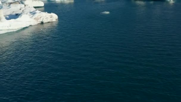 Drónkilátás a Vatnajokull Nemzeti Park tó jéghegy úszó és sodródó. Légi kilátás tó jégtömbbel és Jokulsarlon híd a háttérben. Csodálatos a természetben. Globális felmelegedés — Stock videók