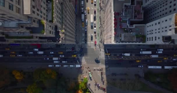 Ptaki lotnicze oko nad głową z góry na dół panoramiczny widok samochodów poruszających się po szerokich ulicach między wysokimi budynkami w mieście. Manhattan, Nowy Jork, USA — Wideo stockowe