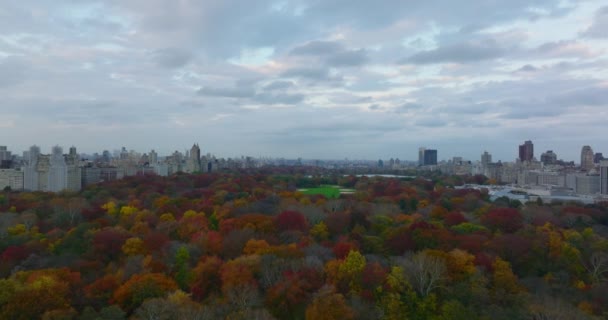 前方はソフトボール場のある都市の大きな公園の上を飛ぶ。秋のカラフルな中央公園は、都市部によって並んでいます。米国ニューヨーク市マンハッタン — ストック動画