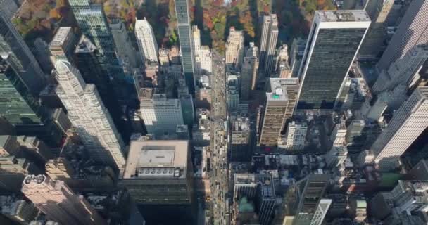 後ろのダウンタウンの上を飛ぶ。光沢のあるガラス面を持つ近代的な高層ビル。公園の紅葉の木。米国ニューヨーク市マンハッタン — ストック動画