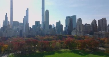 Central Park 'ta çimen ve sonbahar renkli ağaçlar. Şehirdeki tarihi yüksek binalar ve parlak fütüristik gökdelenler. Manhattan, New York City, ABD