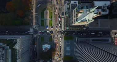 Helikopter kuşları tepeden aşağıya doğru bakıyorlar. Central Park 'ın etrafındaki trafik ve kavşak noktalarını izliyorlar. Pulitzer ve Grand Army Plaza yükseklikten. Manhattan, New York City, ABD