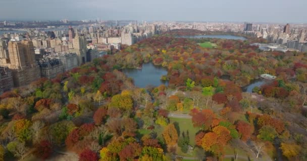 高層ビルに囲まれた中央公園の紅葉の空中パノラマ映像。大都市の自然のピース。米国ニューヨーク市マンハッタン — ストック動画