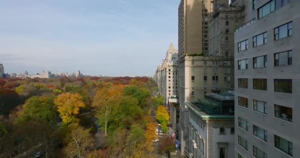 Hacia adelante volar ascendente a lo largo de los edificios que rodean el parque. Hermosos árboles de color otoñal en Central Park. Manhattan, Nueva York, Estados Unidos — Vídeos de Stock