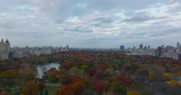 Fly above amazing colourful trees in Central park in autumn. Large urban park with lake and walkways. Manhattan, New York City, USA — Stock Video