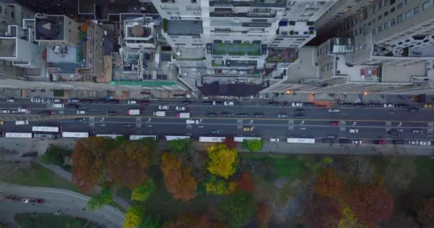 Havadan kuşların gözü tepeden aşağıya parka doğru giden caddedeki trafiğin görüntülerinde. Central Park 'ta sonbahar ağaçları. Manhattan, New York City, ABD — Stok video