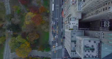 Uçan kuşlar tepeden aşağıya bakıyor. Central Park 'ın sonbaharı yakınlarındaki yolda giden araçların görüntülerini çekiyorlar. Sokak boyunca yüksek binalar. Manhattan, New York City, ABD