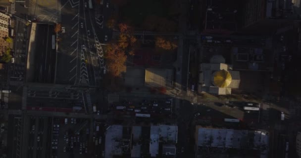 Gökyüzü kuşları tepeden aşağı şehrin sokaklarında araba süren araçların görüntülerini izliyorlar. Çok katlı yol kavşağı boyunca sonbahar ağaçları. Manhattan, New York City, ABD — Stok video
