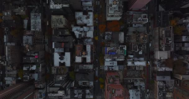 Vogelbeobachtung von oben nach unten absteigende Gebäude im Stadtbezirk. Herbstfarbenes Laub an Bäumen. Manhattan, New York City, USA — Stockvideo
