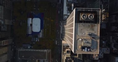 Gökkuşları tepeden aşağı bakıyor. Yüksek katlı apartmanlar ve ofis binaları arasındaki buz pateni pistinde kayan insanları izliyorlar. Manhattan, New York City, ABD