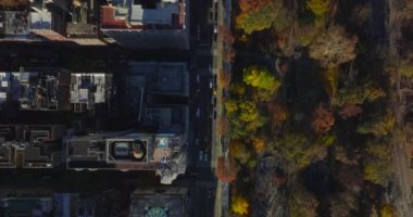 Gökkuşları tepeden aşağı şehrin gelişimini yukarıdan görüyorlar. Sonbahar ağaçlarıyla birlikte parklar güneşle aydınlanıyor. Manhattan, New York City, ABD