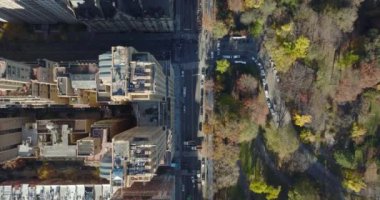 Havadan kuşların gözü Central Park 'taki binaların tepesinde. Majestic Apartman Binası. Manhattan, New York City, ABD