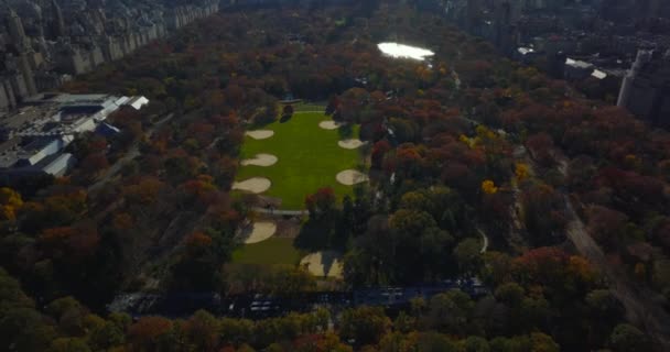 High angle view of softball fields on The Great Lawn in Central Park. Tilt up reveal surrounding skyscrapers. Manhattan, New York City, USA — стокове відео