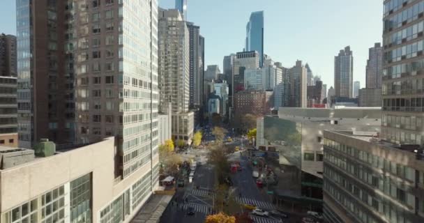 Voorwaarts vliegen boven brede straat in de stad. Lange gebouwen in de buurt. Een zwerm vogels cirkelt boven de weg. Manhattan, New York City, Verenigde Staten — Stockvideo