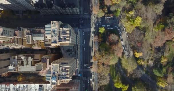 Aerial birds eye overhead top down view of buildings along Central park. Majestic Apartments building. Manhattan, New York City, USA — Stock Video