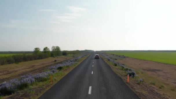 Voorwaarts volgen van langzaam bewegende enkelvoudige auto. Rechte lange weg tussen weide of velden op het platteland. IJsland — Stockvideo