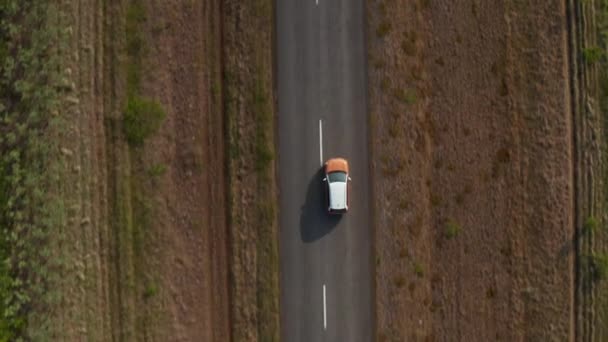 Oiseaux aériens yeux en haut vers le bas vue descendante de deux voitures de couleur conduisant sur la route droite dans la campagne. Islande — Video