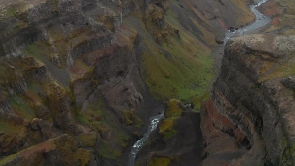 Bäck som rinner i djup ravin med branta klippväggar på sidorna. Fantastiskt bevarad nordisk natur. Haifoss, Island — Stockvideo
